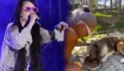 Hande Yener av tüfeğiyle yaralanan köpeği sahiplendi